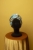 il_1140xN.6476567236_lv2s.jpg